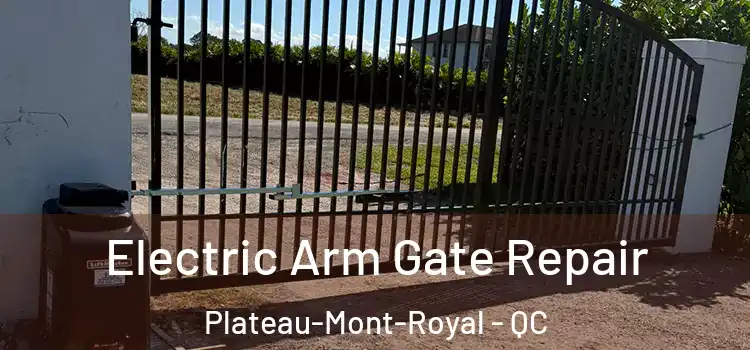  Electric Arm Gate Repair Plateau-Mont-Royal - QC