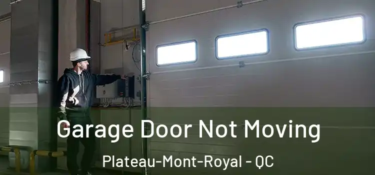  Garage Door Not Moving Plateau-Mont-Royal - QC