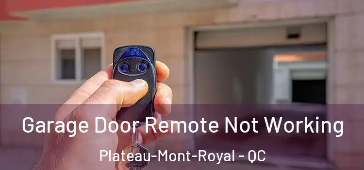  Garage Door Remote Not Working Plateau-Mont-Royal - QC