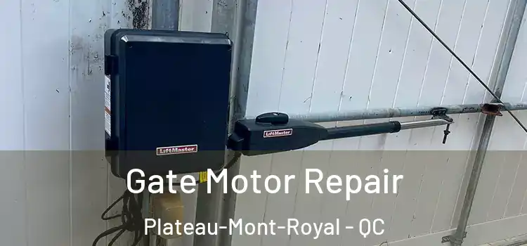  Gate Motor Repair Plateau-Mont-Royal - QC