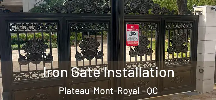 Iron Gate Installation Plateau-Mont-Royal - QC