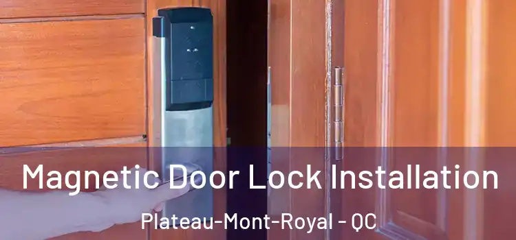  Magnetic Door Lock Installation Plateau-Mont-Royal - QC