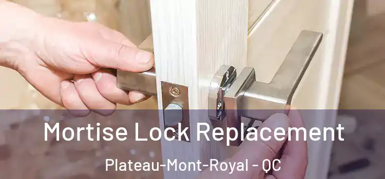  Mortise Lock Replacement Plateau-Mont-Royal - QC
