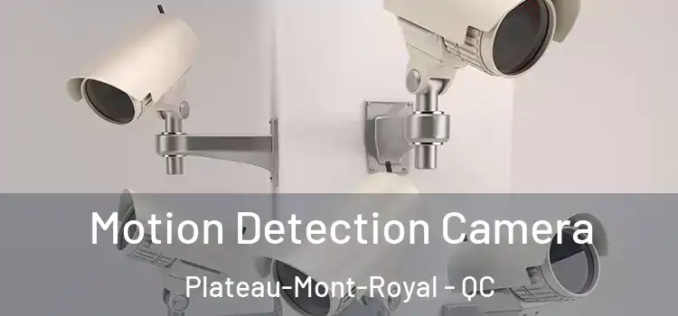  Motion Detection Camera Plateau-Mont-Royal - QC