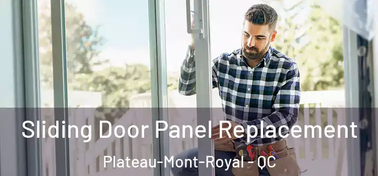  Sliding Door Panel Replacement Plateau-Mont-Royal - QC